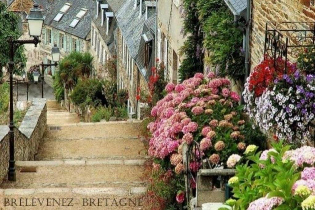 Maison Du Martin Pecheur A * Lannion